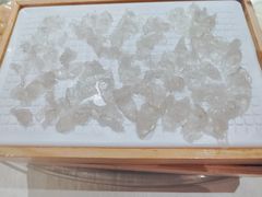 顺德鱼生-渔意如意·首创金鲷顺德鱼生
