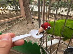 -南宫五洲植物乐园