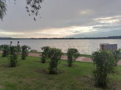 -丁香湖公园