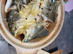 -1937青岛老味道·海肠捞饭·青岛菜(大鲍岛栈桥店)