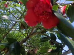 -南通博物苑-崇川人民公园