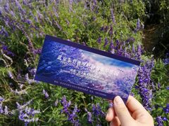 -北京东方普罗旺斯薰衣草庄园