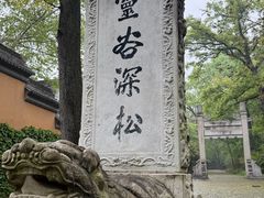 -灵谷景区