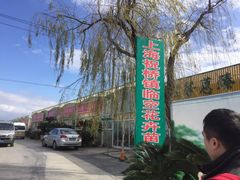 -龙大花卉苗木市场