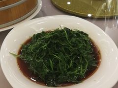 -上海华凯华美达广场酒店