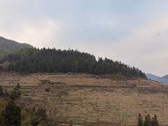 -紫鹊界梯田景区