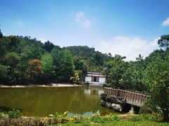 -深圳国际园林花卉博览园