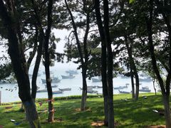 -海源公园