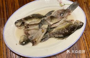 Soft Cartilage Crucian Carp