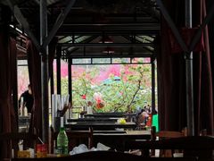 -桃源山庄·水蜜桃采摘·柴火鸡·烧烤团建(龙泉山店)