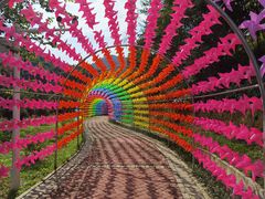 -广州白江湖森林公园