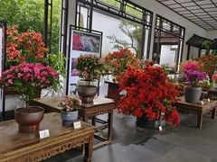 -杭州植物园