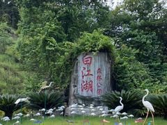 -广州白江湖森林公园