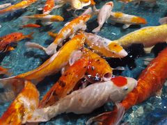 -泉州海丝野生动物世界