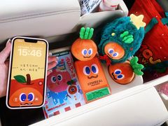 -大湾区中央湿地公园-十九涌