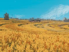 -三圣花乡旅游区