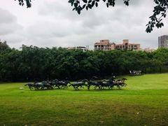 -广州雕塑公园