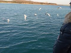 -青岛嘉年华主题乐园