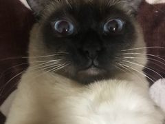 -宠颐生中康贝怡动物医院