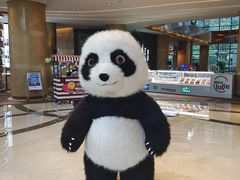 -成都天府丽都喜来登饭店