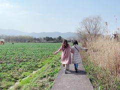 -长兴太湖图影湿地文化园