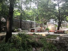 -大岭沟猕猴桃谷风景区