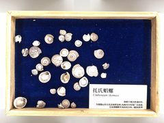 -天津古林古海岸遗迹博物馆