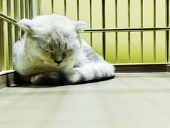 -情忆草原涮肉馆