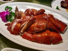 -顺轩海鲜火锅酒家