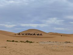 -亿利库布其七星湖沙漠生态旅游区