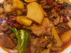 -巴依老爷新疆美食(望京小街店)