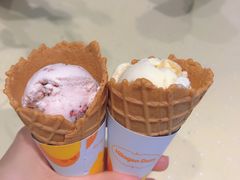 -哈根达斯(石家庄北国店)