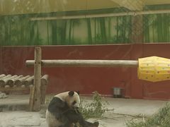 -杭州野生动物世界