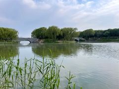 -大兴滨河森林公园