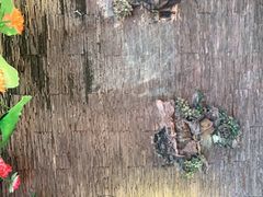 -粥满堂养生餐厅(学苑路店)