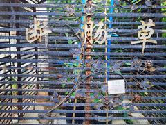 -广州神农草堂中医药博物馆