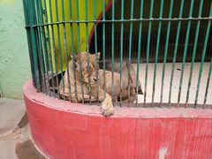 -荆州中山公园动物园