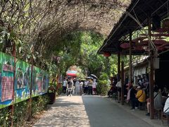-野象谷景区
