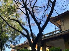 -仙岳公园
