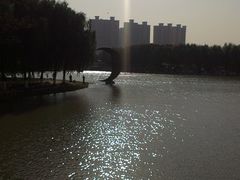 IMAG1125-昆山城市生态森林公园