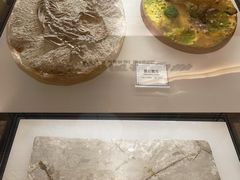 -辽宁古生物博物馆