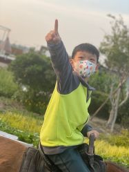 -小蜜蜂农场(凯德七宝购物广场店)