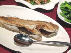 -金苑海鲜酒家(新港中路店)