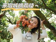 -广州增城富力万达嘉华酒店(增城万达广场地铁站店)