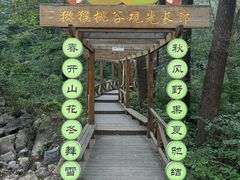 -大岭沟猕猴桃谷风景区