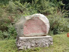 -青峰峡国家森林公园