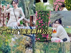 -广州市石门国家森林公园