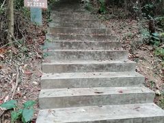 -滴水岩森林公园
