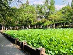 -四川大学(华西校区)