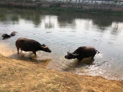 -杭州双溪漂流景区